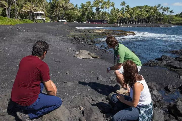 Big Island in a Day: Volcanoes Waterfalls Sightseeing and History