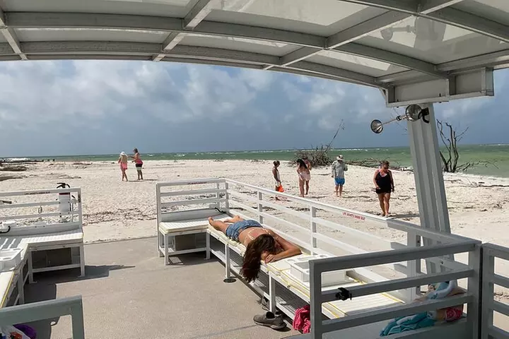 2 HR Dolphin Tour for 7 people