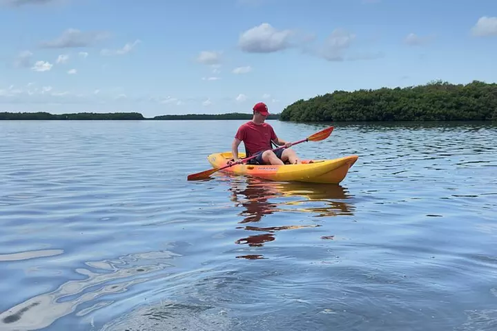 Exclusive Kayak Expedition: Exploring the Mangroves to Shell Key