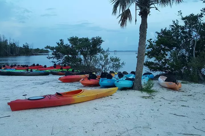 Florida Bioluminescence Kayaking Tour (Titusville)
