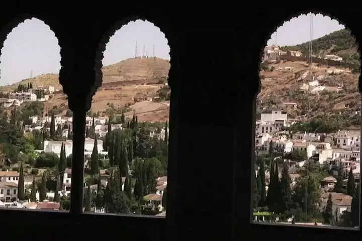 Visita guiada al Palacio de la Alhambra y Carlos con palacios nazar...