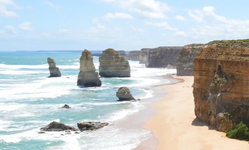 Image 12: Great Ocean Road 12 Apostles kangaroo & koala tour