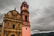 Nocturnal Morelia - Legends - Second Medium
