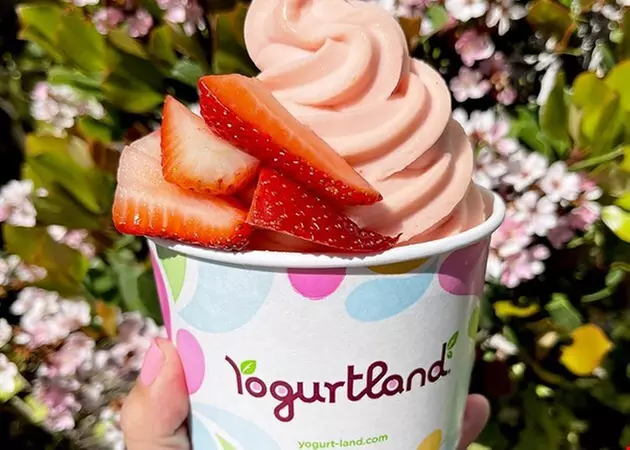 $10 For $20 Worth Of Frozen Yogurt