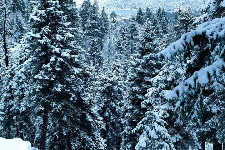 Snowshoe Tour Big Bear Lake with Hot Chocolate