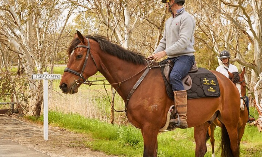 Image 5: Vineyard Trail Ride and Taste at Jacob's Creek