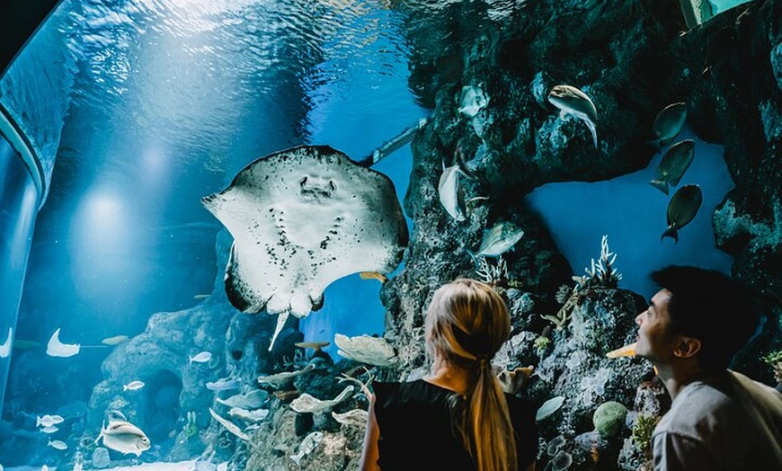 Image 1: Cairns Aquarium by Sunrise