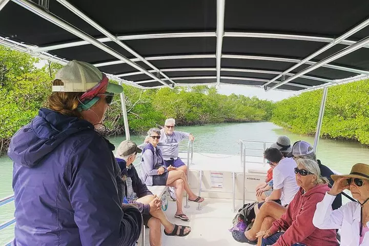 Marco Island Dolphin Sightseeing Tour