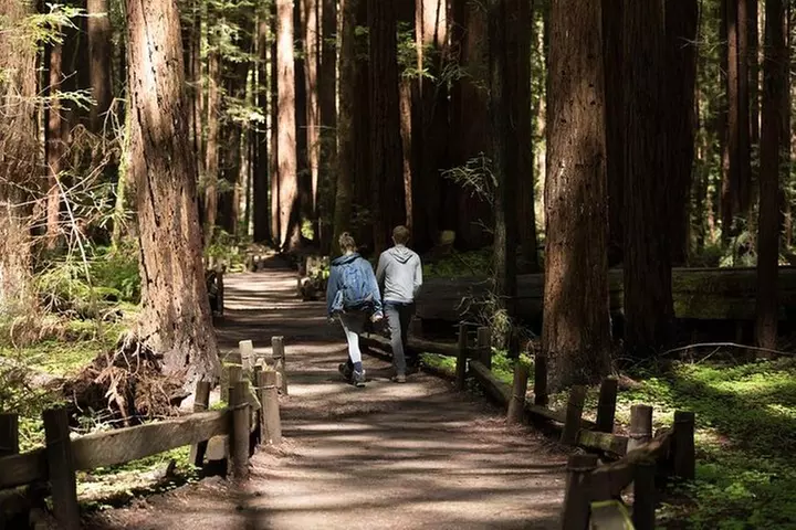 Small Group Redwoods, California Coast & Sausalito Day Trip from Sa...