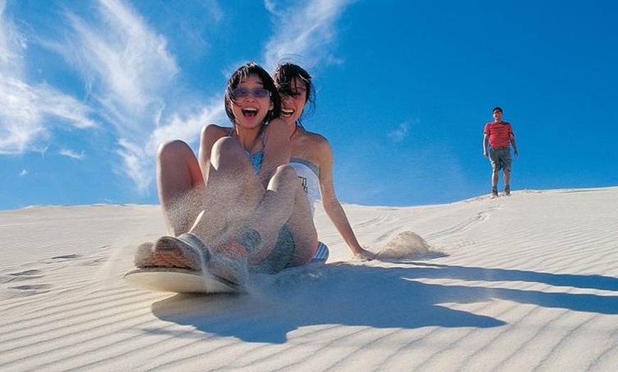 Image 4: Pinnacles Desert, Koalas and Sandboarding 4WD Day Tour from Perth