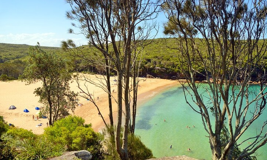 Image 20: South Coast Private Tour & Royal National Park Inc