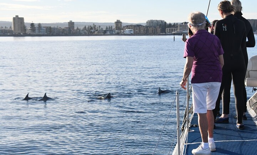 Image 5: Wild Dolphin Watch Cruise