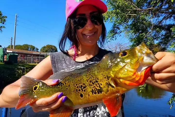 Peacock Bass Fishing Trips Near Miami Florida