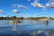 Guided Kayak Tour on Launceston's scenic waterfront on foot powered Hobie kayaks - Image 4