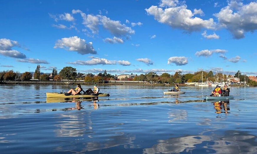 Image 3: Guided Kayak Tour on Launceston's scenic waterfront on foot powered...