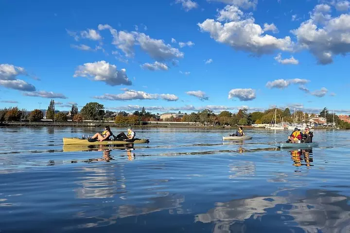 Guided Kayak Tour on Launceston's scenic waterfront on foot powered...