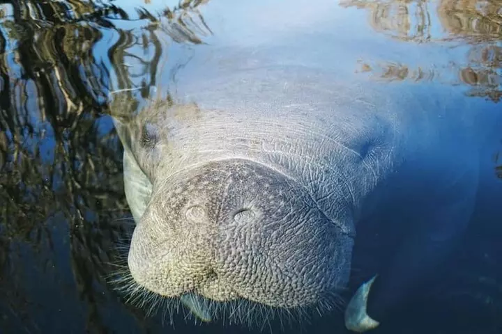 Siesta Key Guided Eco Tour