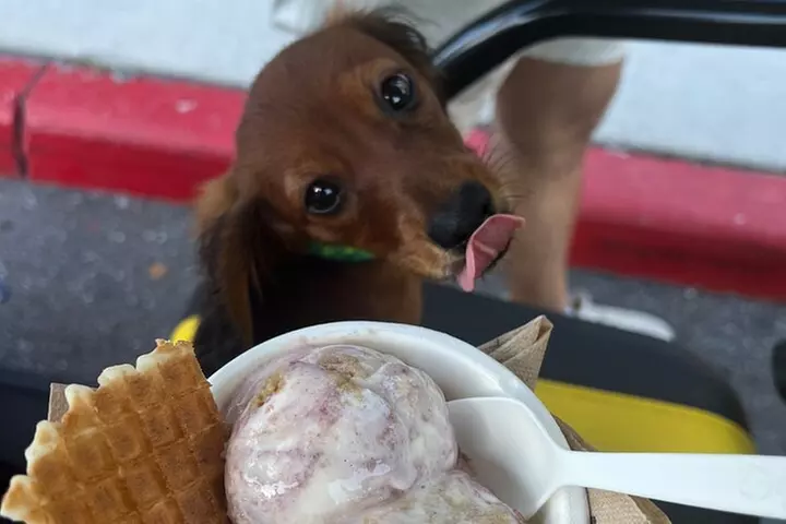 Locally-Guided Tampa Sightseeing Tour in Street-Legal Golf Cart