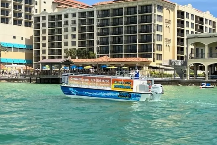 Tour with Dolphins and Sight Seeing - Primary Image