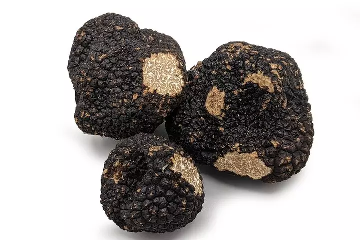 Démonstration de Cavage des Truffes