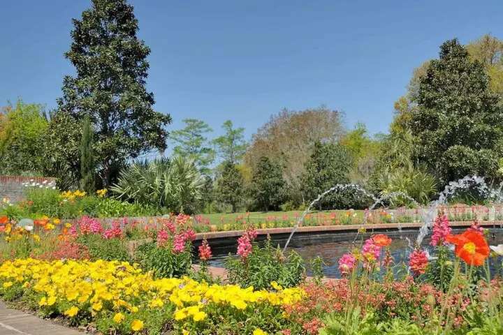 Private, Guided Parks and Scenic Tour of South Myrtle Beach and Pawleys Island - Primary Image