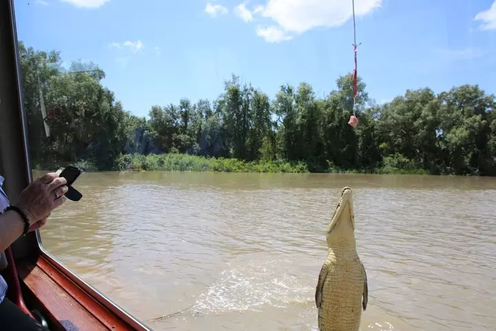 Darwin: Adelaide River Queen Original Jumping Crocodile Cruise - Primary Image