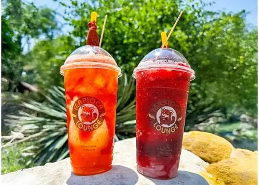 5% Cash Back at Teapioca Lounge