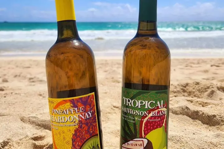 Winery Oeno Island Style Wine Tasting