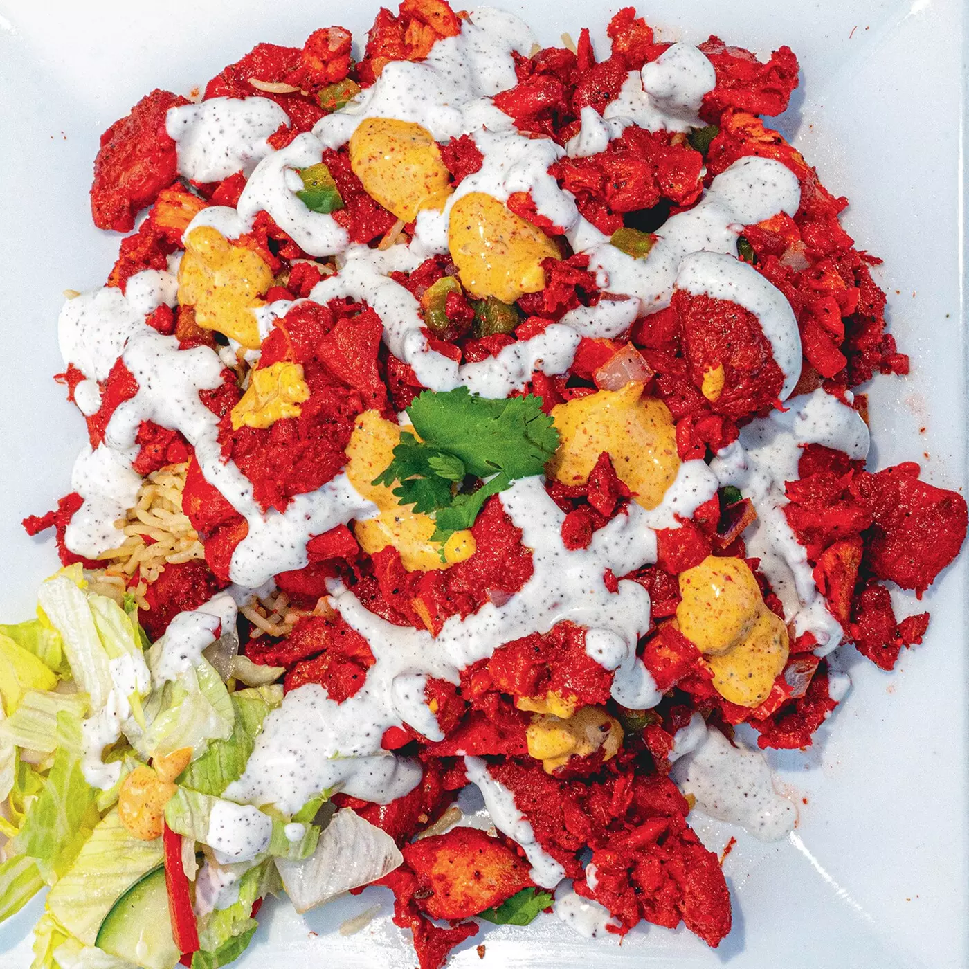 $20 for $40 Worth of Pakistani & Indian Cuisine - Primary Image