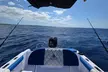 Private Boat Tours & Fishing Charters in Nassau, Bahamas - Second Medium