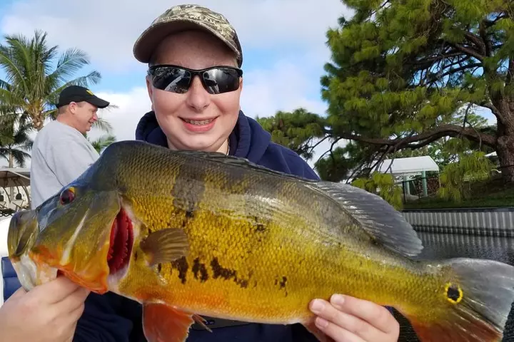 Peacock Bass Fishing Trips Near Key Largo