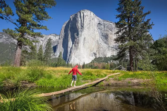 Yosemite National Park and Giant Sequoias - One Way (SF to Yosemite or Yos to SF - Primary Image