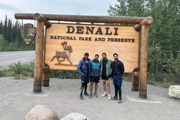 Denali-In-A-Day Sightseeing Tour - Primary Image