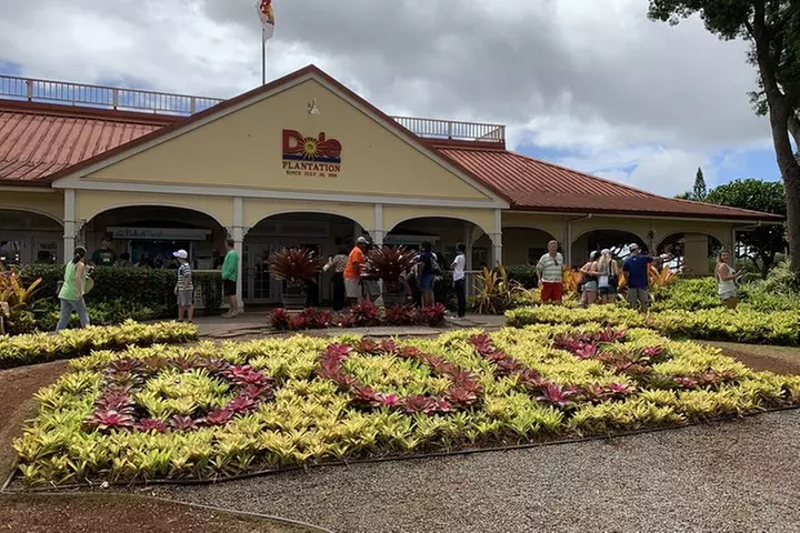 Small Group-Oahu Tour, Dole Plantation, Northshore, Sunset Beach - Primary Image