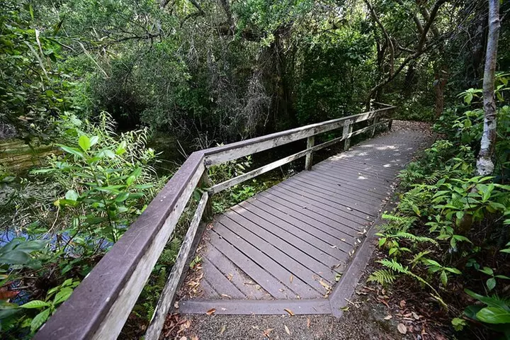 Everglades National Park: Self Guided Driving Audio Tour