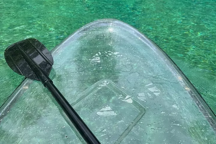 VIP ECO adventure to Cypress Springs by Paddle Board or Kayak - Second Medium