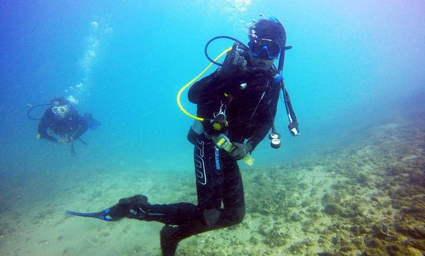 Image 30: Wave Break Island Snorkel Tour on the Gold Coast