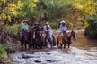 Guided Horseback Tour only 30 mins from Sedona. - Second Medium