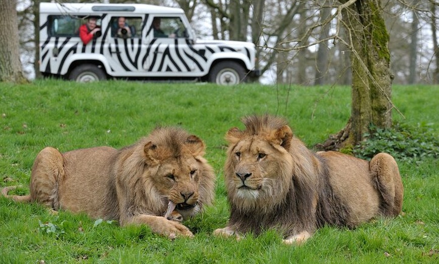 Image 2: Private Full Day Tour to Longleat Safari Park and Historic Bath