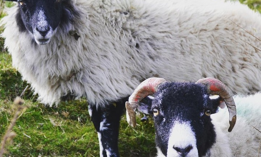 Image 13: The Yorkshire Dales of All Creatures Great & Small