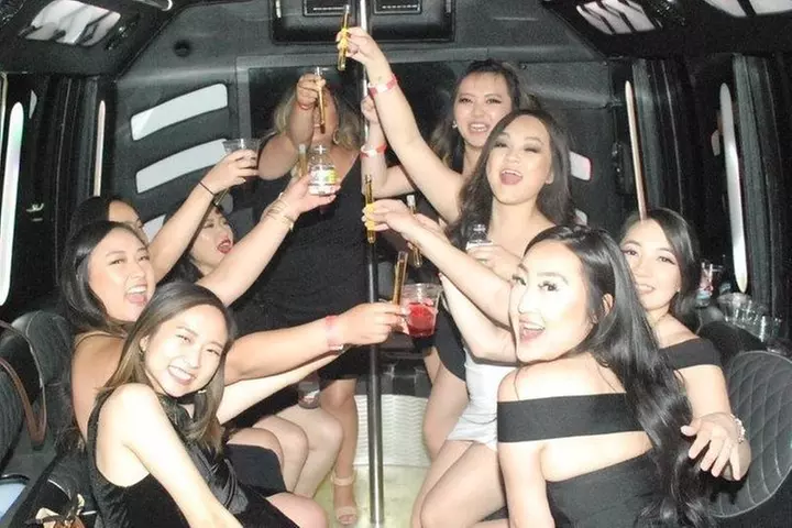 Private Airport Arrival Transportation in Luxury Party Bus (15 Pass...