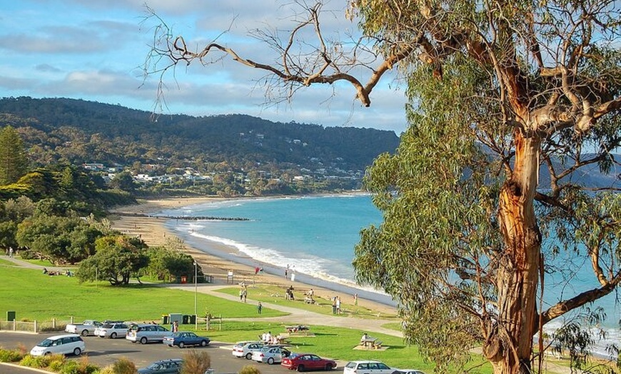 Image 3: Melbourne: Great Ocean Road & Iconic Coastal Views Day Tour