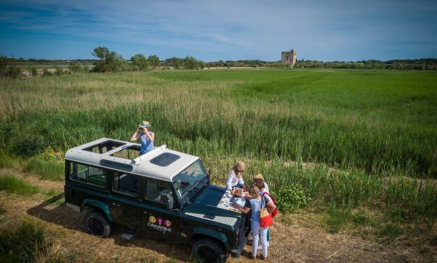 Image 5: 3 heures de safari en Camargue en 4x4 depuis Le Grau-du-Roi