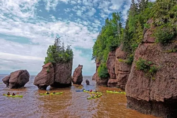 Saint John Bay of Fundy and Hopewell Rocks Private Tour - Second Medium