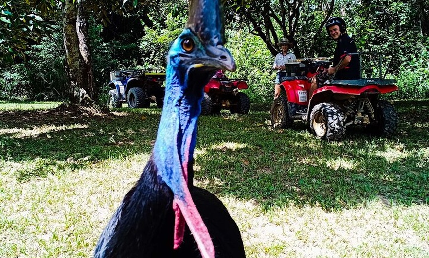 Image 5: 1 Hour Rainforest Quad Bike Tour in Kuranda