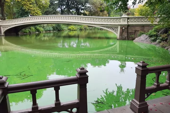 Central Park Wonders And Secrets Shared Walking Tour - Second Medium
