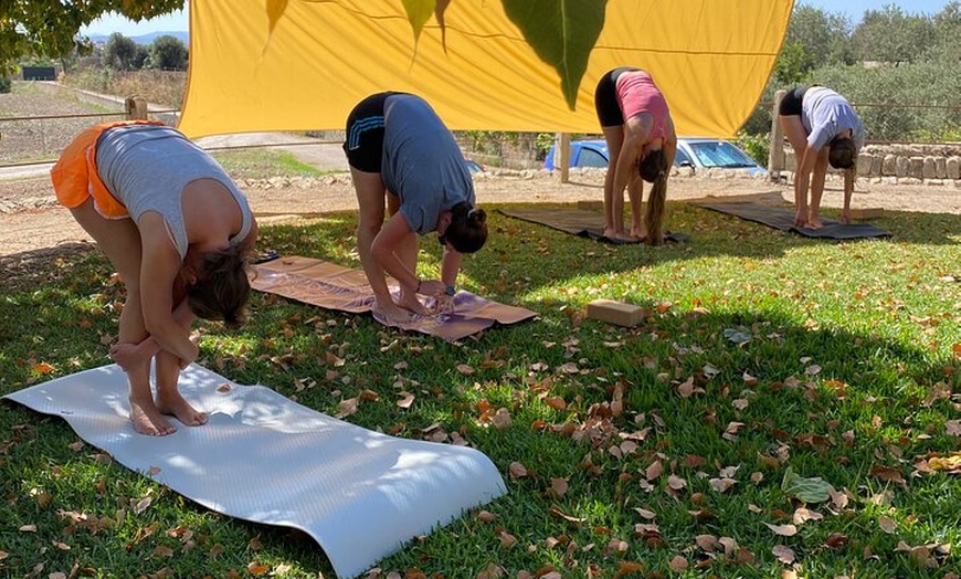 Image 3: Retiro privado de yoga y meditación en Mallorca