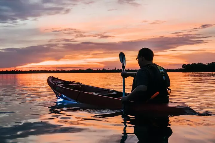 LED Bio Comb Jelly Clear Bottom Kayak or Paddleboard Tour!
