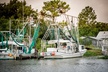 New Orleans Swamp and Bayou Sightseeing Tour with Transportation - Second Medium