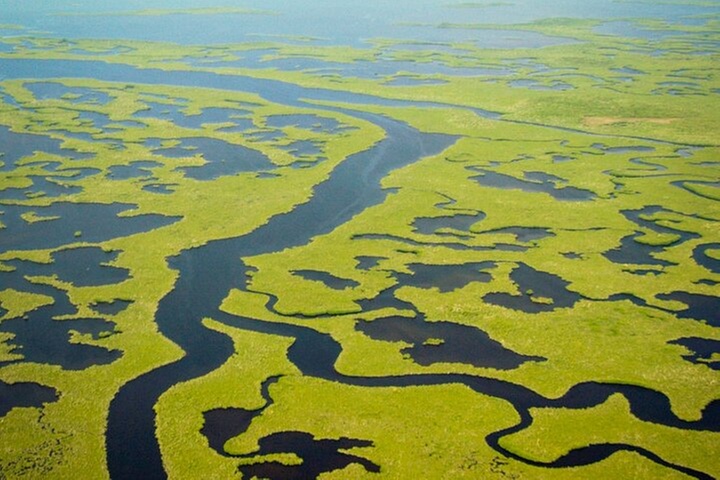 Everglades National Park Boat Tour